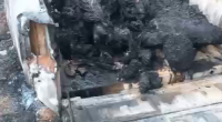 Three Charred Corpses And A Shot Man Were Found In A Burnt Car. Brazil