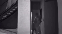 A Neighbor Comes To Rescue A Girl Who Was Being Abused By Her Boyfriend