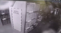 Criminals Robbed An Adidas Warehouse Of 1.4 Billion Pesos. Colombia