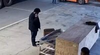 Chinese Rider Hits Forklift