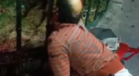 The Attackers Literally Hammered The Man's Head Between The Bars Of The Fence