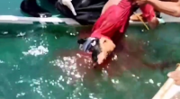 Man's Body Pulled Out Of The Water With His Head Opened After Collision With Patrol Boat