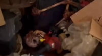 Dude Bought A House & Found A Skeletonized Body