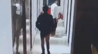 Unfaithful Wife Saves Lover From Her Rampaging Husband