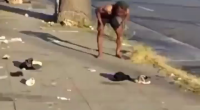 Madness In Hollywood