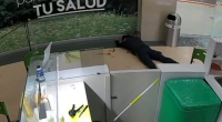 Armored Truck Employee Shot During Robbery In Colombia