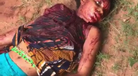 Woman Butchered Over Debt In Nigeria