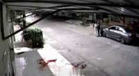 José Daniel Varela Mejía, 20, Was Brutally Murdered In The Early Hours Of Tuesday, May 20, In The Ortiz Neighborhood