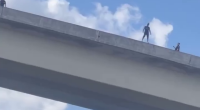 This Man Jumped Off The Spaghetti Junction Bridge