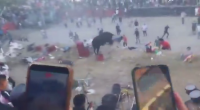 An Angry Bull Injured 30 People At A Festival In Ayacucho, Peru