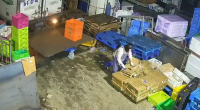 The Truck Driver Was Driving In Reverse And Did Not Notice The Employee