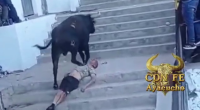 A Tethered Bull Killed A Man. Peru