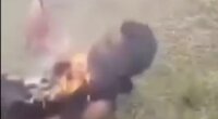 Dude Who Killed Woman Is Burned Alive By Mob