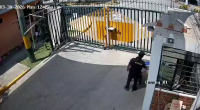 Footage Of An Attack On A Security Guard. The Victim Is In Serious Condition In The Hospital