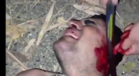 The Dude Was Interrogated, Then Ate His Ear And Dick. He Was Probably Killed In The End