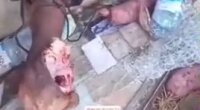 His Foot Is Fucked