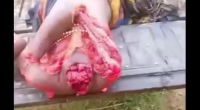 Female Murdered And Chopped