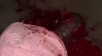 Black Dude Getting Stabbed & Axed In The Head
