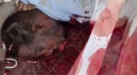 Two Blacks Got Their Head Fucked Up By Bullets