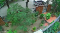 Hitman Caught Him