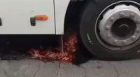 Turned Into Mush Under The Bus