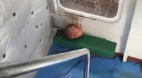 As A Result Of A Quarrel Between Two Filipino Sailors On A Ship, One Of Them Was Killed And Beheaded