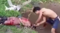 Dragged Him To His Grave & Took His Head Off