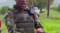 Another Mexican Beheaded Dude
