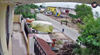 A Speeding Cow Caused The Death Of A Motorcyclist