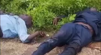 Several Blacks Killed In Crash