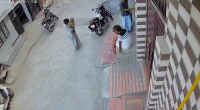 CW! 6-Month-Old Critical After Pit Bull Attack In Haryana's Sonipat
