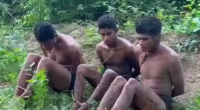 Los Cascos Cartel Executes Three Members Of Los Chapitos