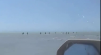 Killing Some Blacks By Driving Over Them