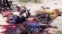 Islamists Massacred A Group Of Villagers