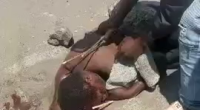 Showing The Thief Some Loving