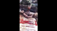 African Slaughter
