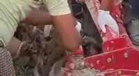 A 30yr Old Tractor Driver Tragically Died In A Horrific Work Accident