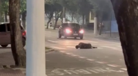 The Dude Didn't Have Enough Luck To Escape From His Pursuer