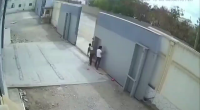 Idiot Crushed By Falling Gate Leaf